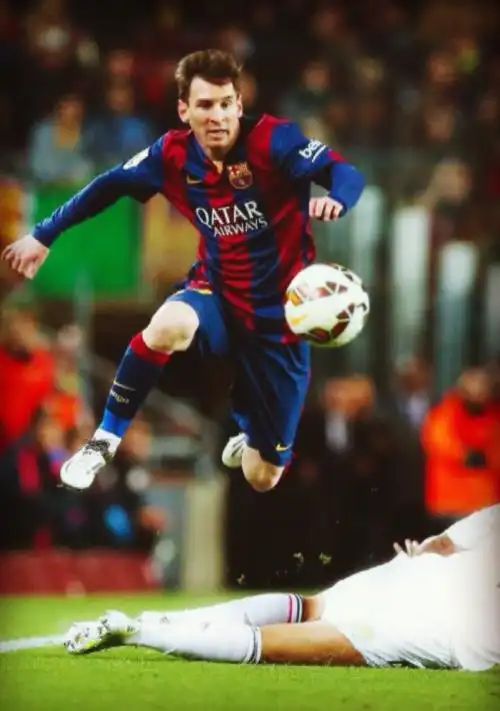 最终融入其 最终融入其